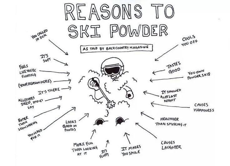Reasons to Ski Pow