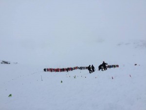 Arare Avalanche Search